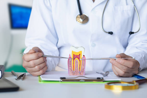 Best Emergency Root Canal Treatment in Mount Ephraim, NJ